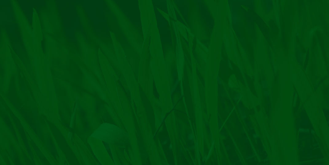 Alumco