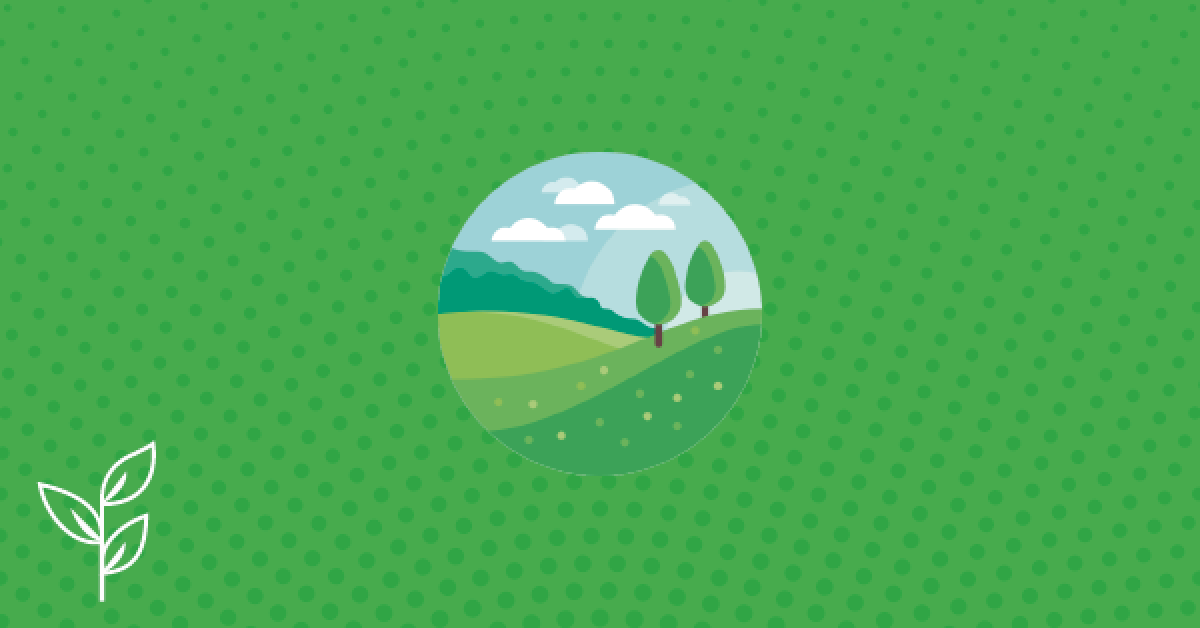 2019 vs 2009: la diferencia de invertir en terrenos